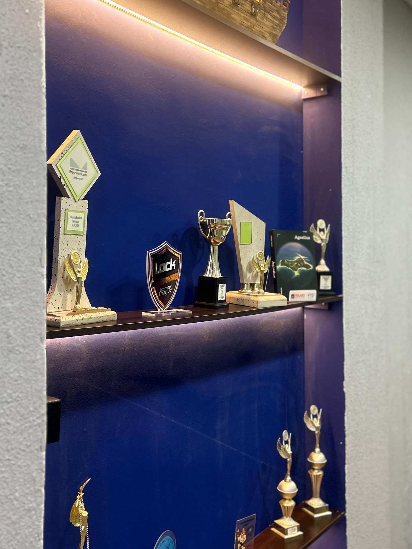 Troféus conquistados pelos alunos do Colégio Gênesis